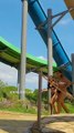 Fun And Fast Water Slides At The Water World