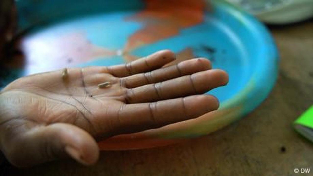 Elfenbeinküste: Ökologischer Wandel schafft grüne Arbeitsplätze