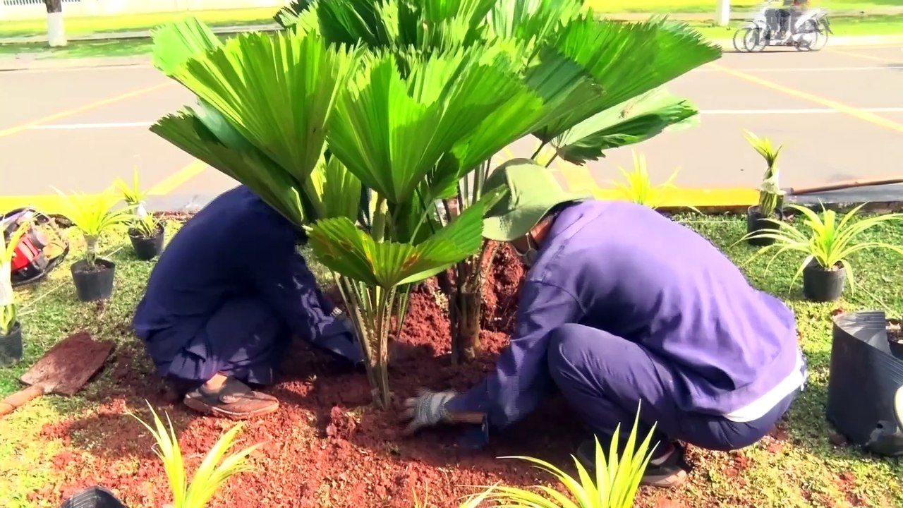 TONG HOP GIAO THONG GIAO DUCTRONG CAY XANH CONG BO QUY HOACH  TMDV CONG NGHEIP DOANH NGHIEP KINH TE