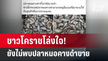 ชาวโคราชโล่งใจ! ยังไม่พบปลาหมอคางดำขายในตลาดและแหล่งน้ำ | เข้มข่าวค่ำ | 25 ก.ค. 67