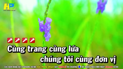 Karaoke Giã Biệt Sài Gòn (Beat Hay) Nhạc Sống Tone Nam - Hoài Phong Organ