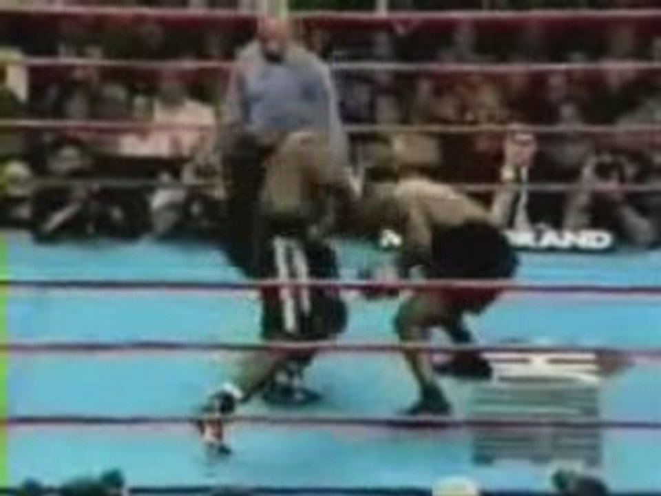 Mike Tyson Punch Out king