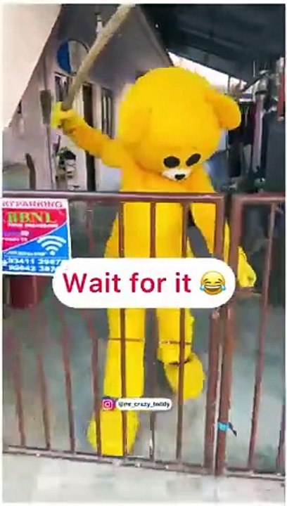 pangebaz bhaloo