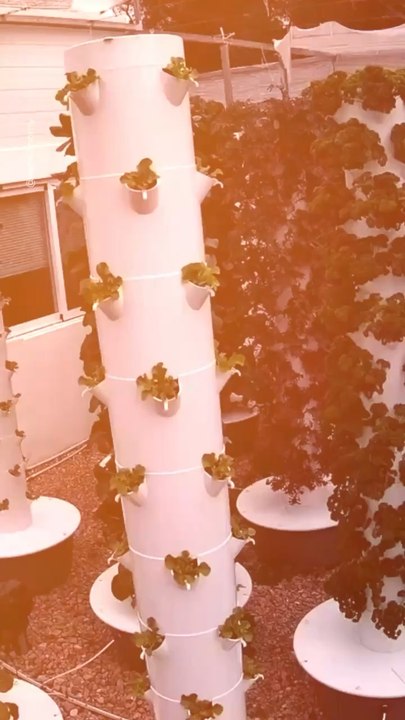 Abonne-toi pour suivre d’autres solutions positives !     @theimpactstory   Source : agrotonomy  #agriculture #ferme #legumes #fruits #innovation #technologie