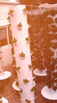 Abonne-toi pour suivre d’autres solutions positives ! @theimpactstory Source : agrotonomy #agriculture #ferme #legumes #fruits #innovation #technologie