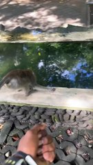  never see that coming LOL