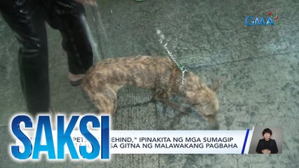 "No pets left behind," ipinakita ng mga sumagip sa mga hayop sa gitna ng malawakang pagbaha | Saksi