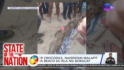 Salt water crocodile, naispatan malapit sa Sinagpa Beach sa isla ng Boracay | SONA