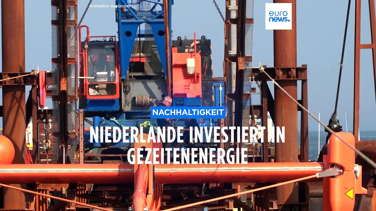 Nachhaltigkeit: niederlande investieren in gezeitenenergie im wattenmeer