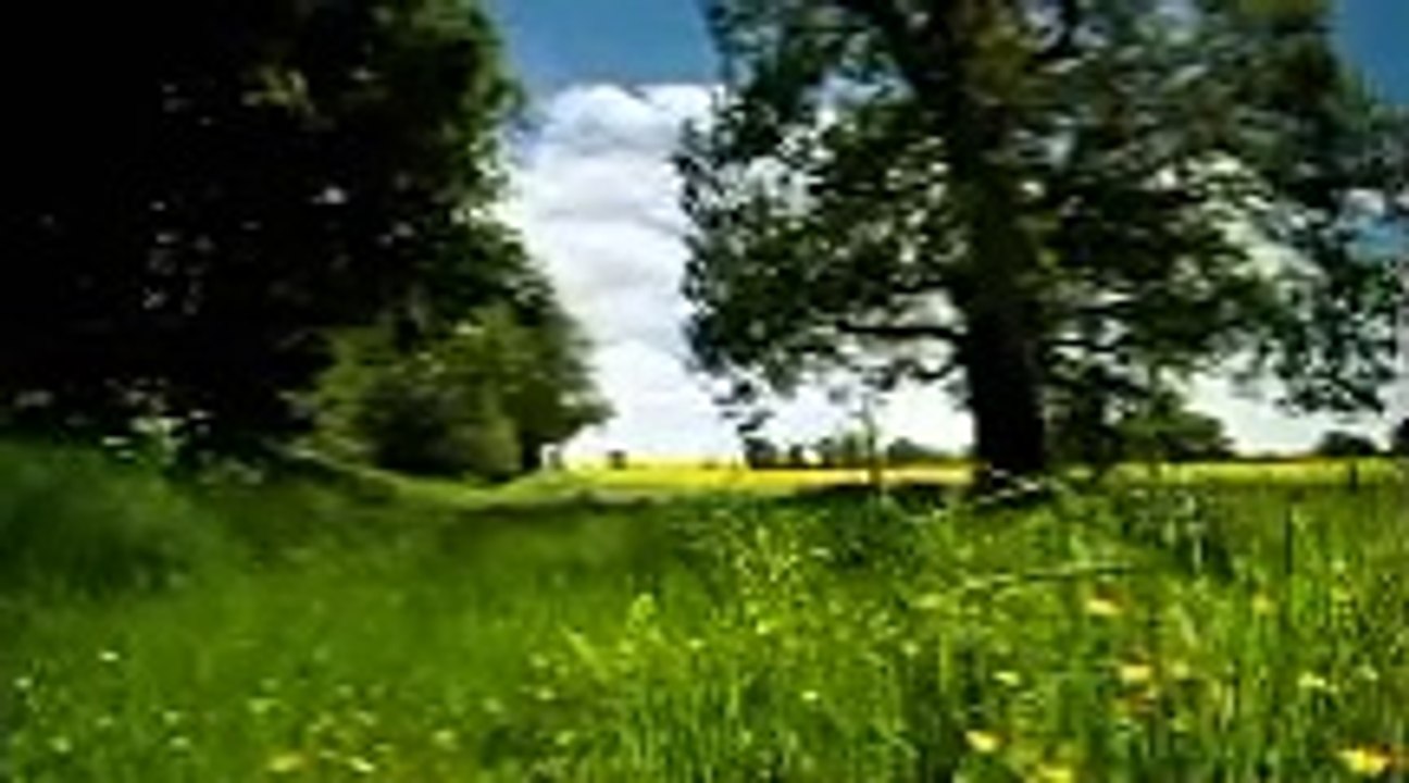 Nature and site