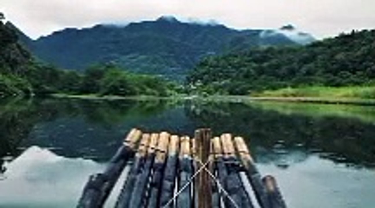 Water in jangle beautiful site