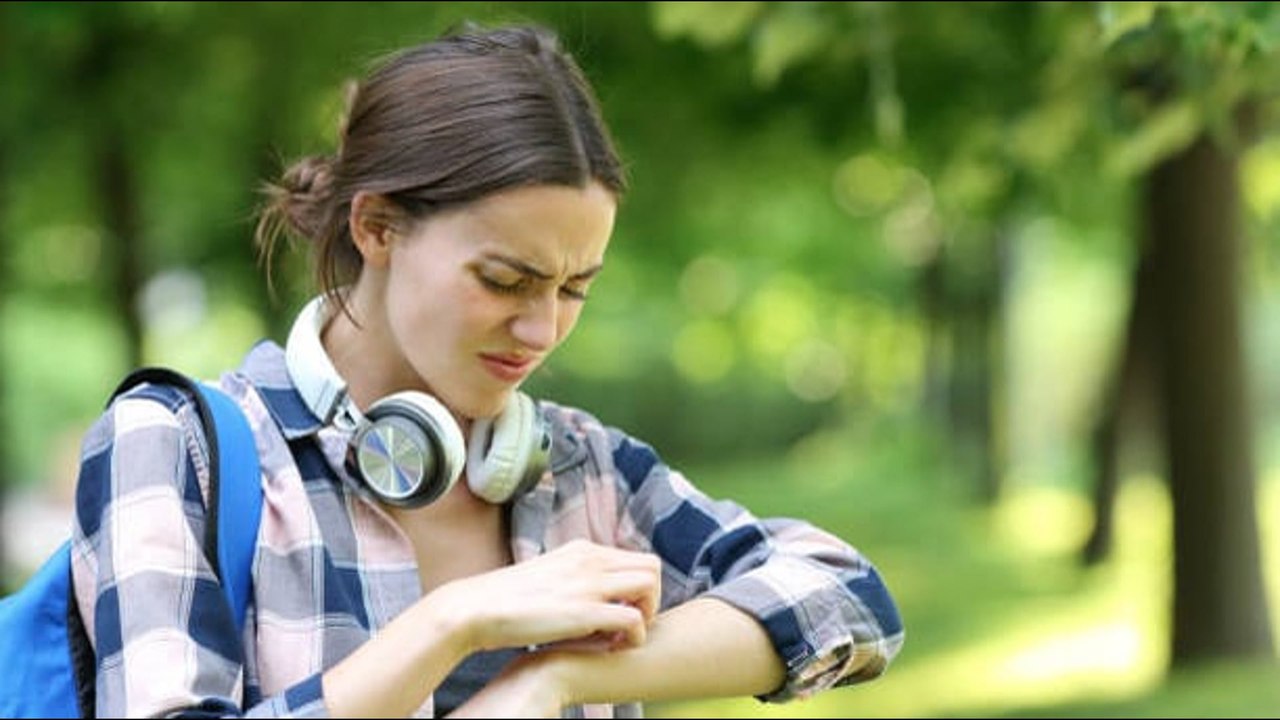 Auyenta A Los Mosquitos Con Estos Remedios Caseros Y Baratos