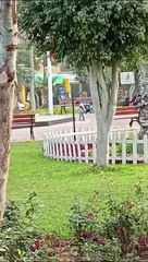 WhatsApp Video 2024-07-25 at 11.42.12 AM