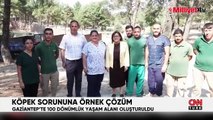 Başıboş sokak köpekleri ile ilgili tartışmalar sürüyor! Gaziantep Büyükşehir Belediyesi örnek oldu