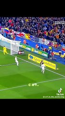 Exciting Cricket Match Highlights 🏏