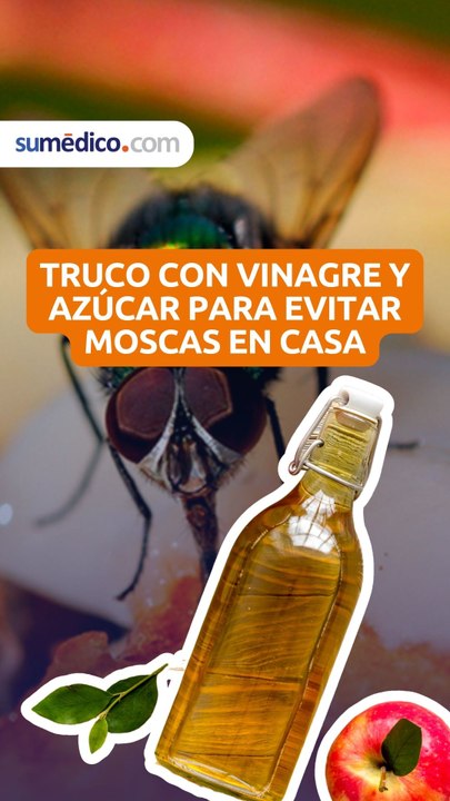 Truco con vinagre y azúcar para evitar moscas en casa