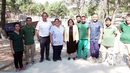 Video Haber | Gaziantep’te köpek sorununa örnek çözüm