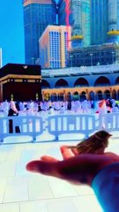 خضر علیہ سلام بولے اے موسیٰ میرے اور تمہارے علم میں