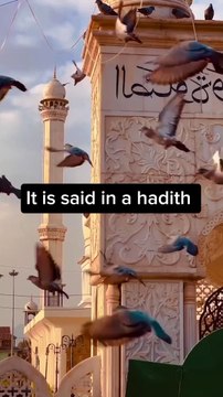 Best Foods In Islam #shorts #islamic status #whatsappstatus #viral #trending Islamik Status Tips for✍️ Muslim| Deen ki baten#islamik Tips#tips #tips#deen #islamic