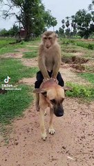 بيعمل خير ولاقاه شر