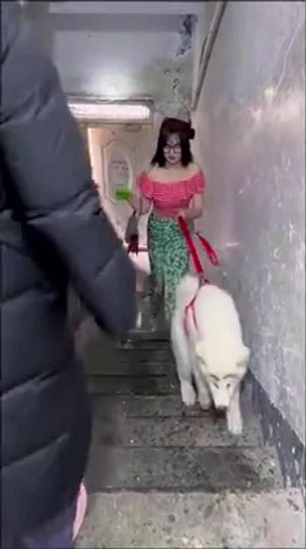 ⁣Chinese lifestyle