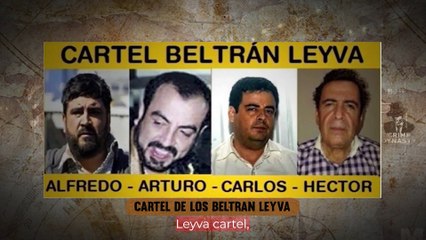 10 Entrevistas Inquietantes con Miembros de Cárteles
