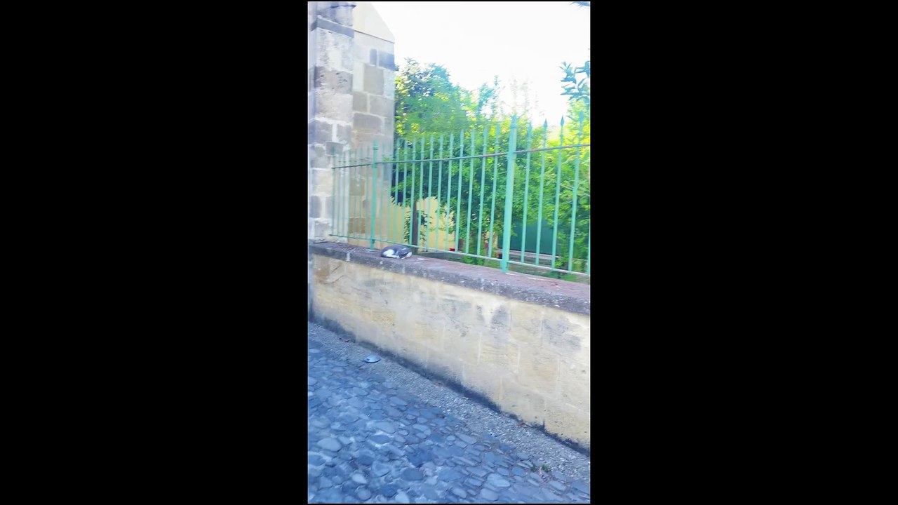 "Eid ul-Adha Mubarak! Celebrating at Hala Sultan Tekke: A Spiritual Journey in Cyprus"