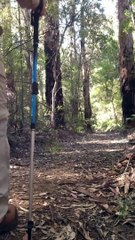 Bal To Don Vil Twenty Six