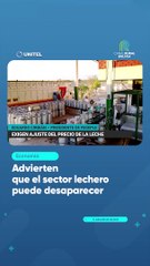 Advierten que el sector lechero puede desaparecer