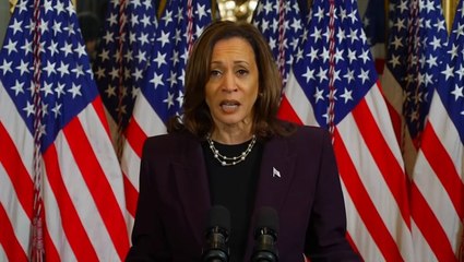 Kamala Harris says two state solution is the ‘only path’ forward after meeting with Israel’s Netanyahu