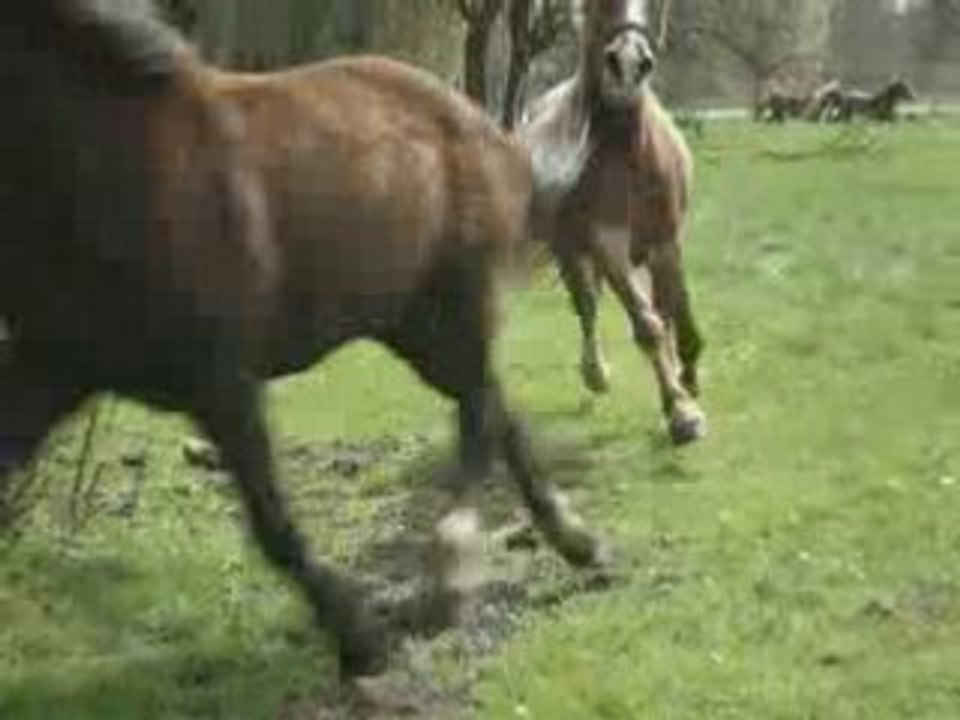 Journée pique-nique