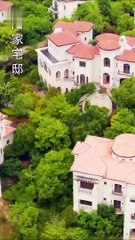 Phim Kiều Thê Mang Thai Hộ Của Lục Tổng - Tập 01 | Phim Ngôn Tình