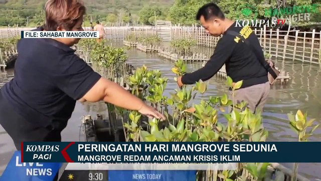 Restorasi Mangrove Redam Dampak Perubahan Iklim, Bincang Hari Mangrove Sedunia bersama Nyoman Sweet