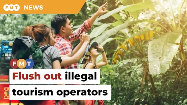 Revamp Tourism Industry Act to flush out illegal operators, govt told