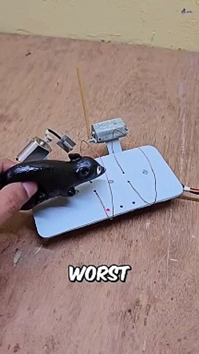 Shocking Evil Mouse Trap Ever 