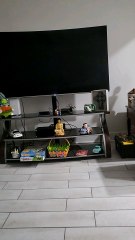 remember 1999 up to in my memiors