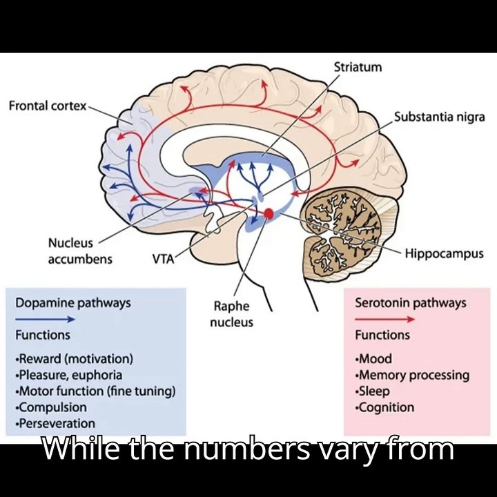 New treatments offer much-needed hope for patients suffering from chronic pain