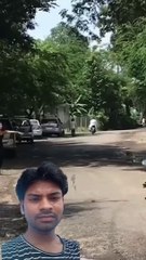 2 Foreigners in Bollywood Most Funny Video  Foreigners Ride Auto and Speak Hindi Reactionshorts #fazaraftabmrj