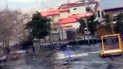 During Japan Tsunami a strange creature was caught on camera - real footage