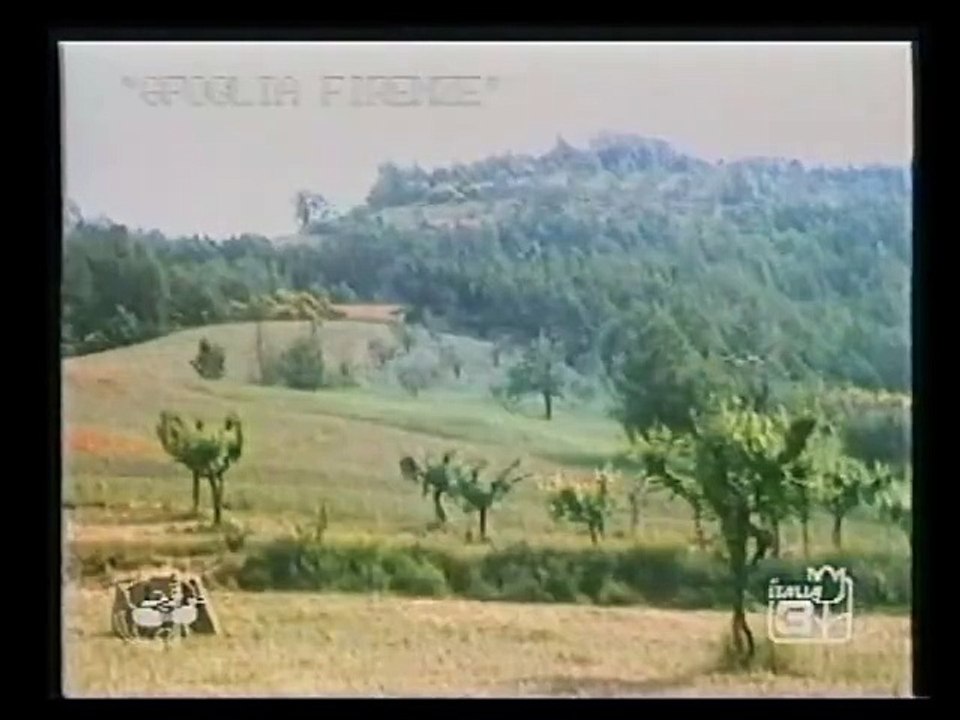 Enel redazionale monitorizzazione impatto centrali elettriche. Studio incidenti domestici 1988.