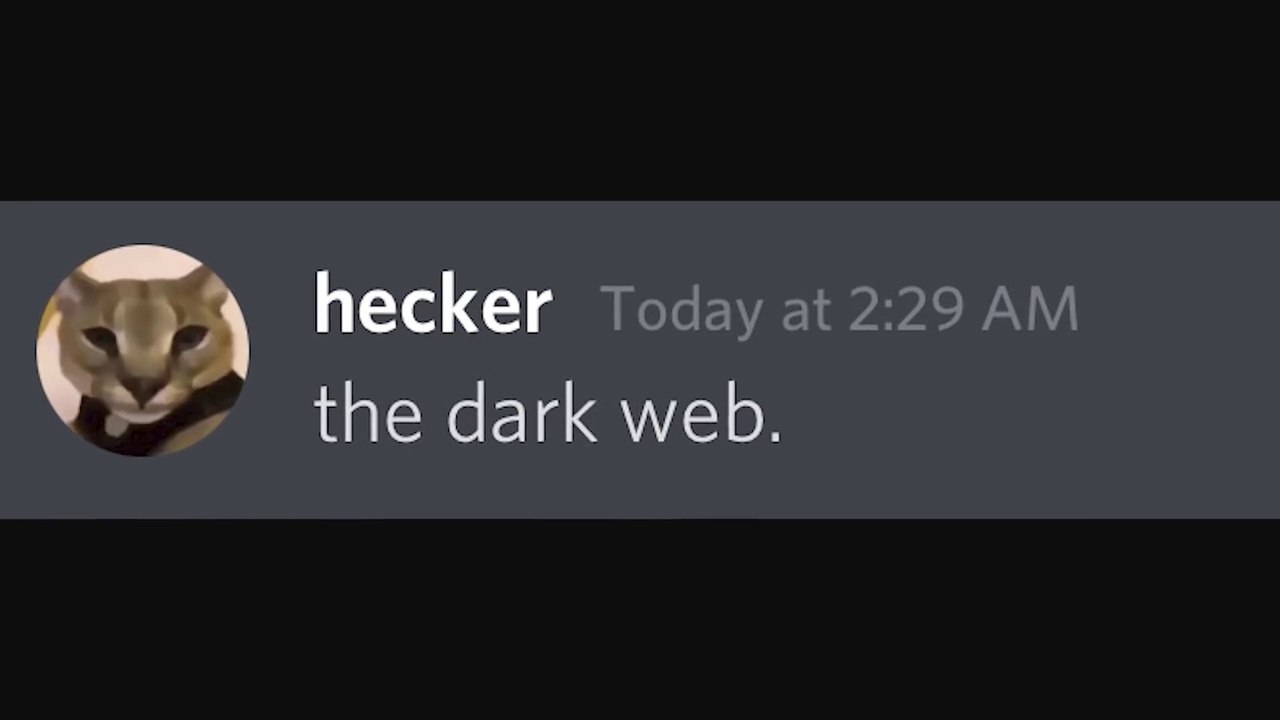 Entering the Dark Web