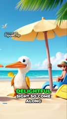 Discover the Fascinating World of Pelicans  Fishing and Flying by the Salty Sea