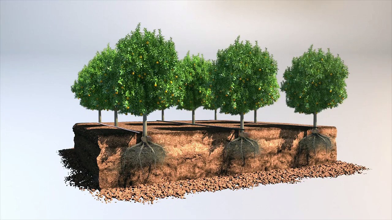 Drip Irrigation - Drip Irrigation System & Techniques