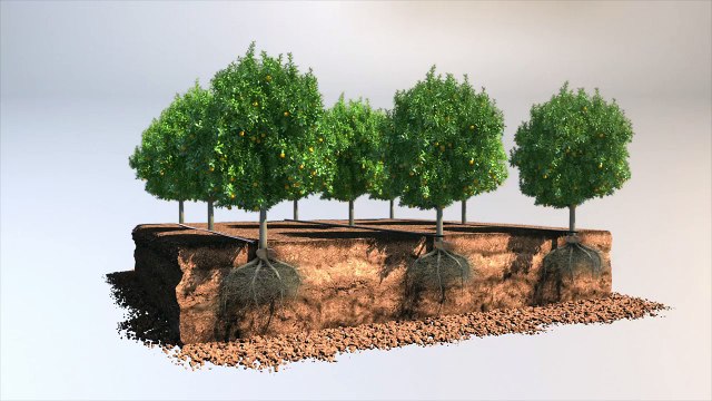 Drip Irrigation - Drip Irrigation System & Techniques