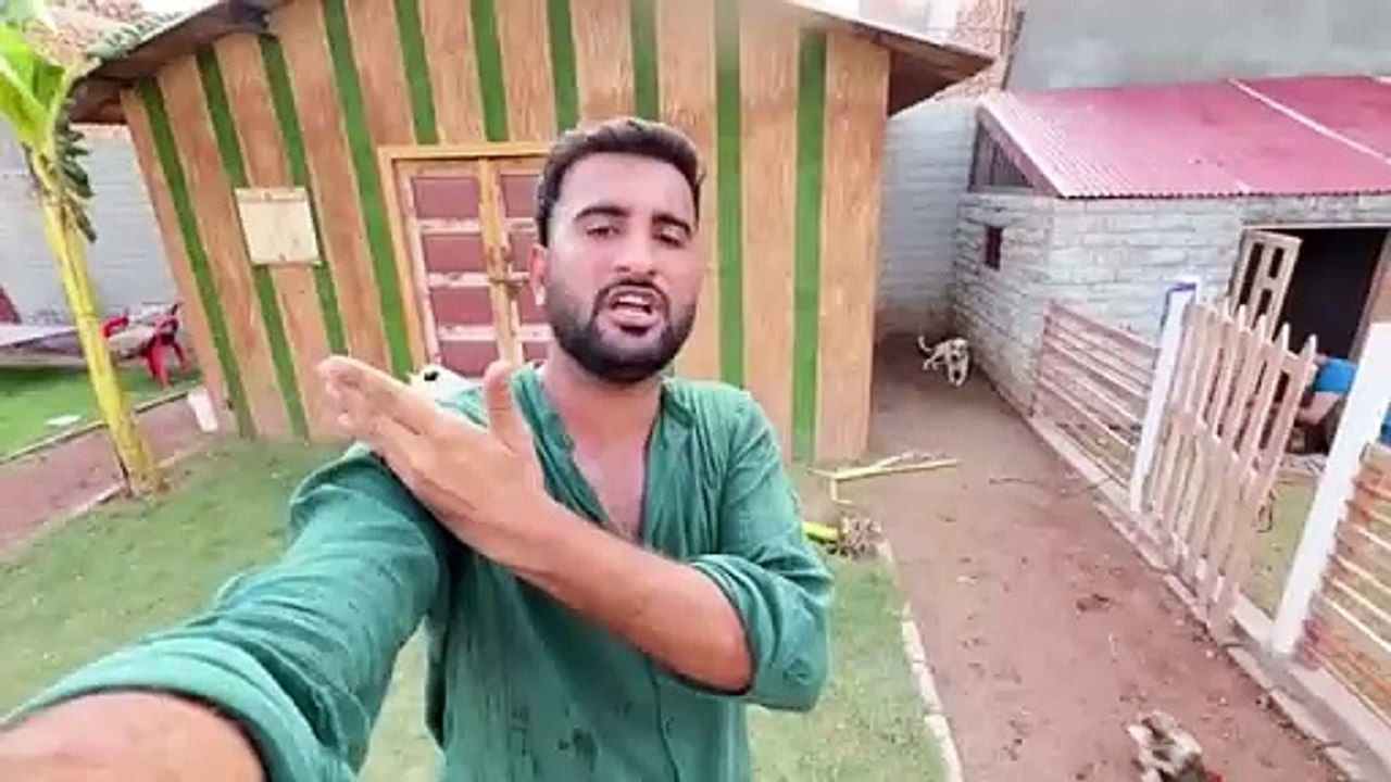 Dogs Main Parvo Virus To Nhi Hai Tentions Shro