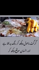 Reality |bestvideo |reality of the world