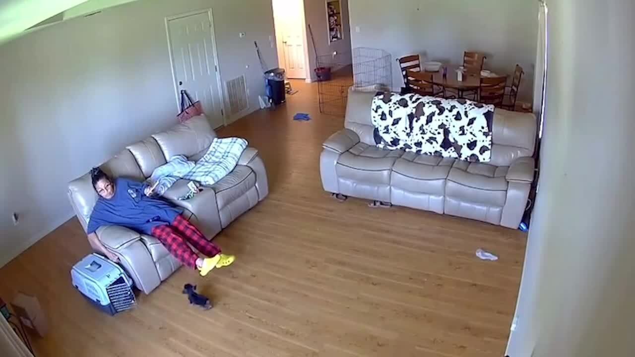 Woman Accidentally Hits Dog While Reclining Chair