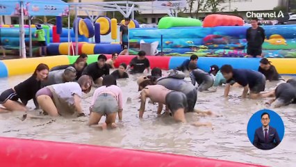 여름 대표 축제 열렸다…‘반려견 존’까지