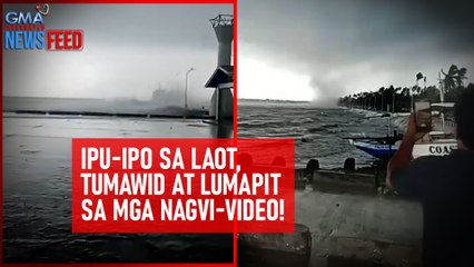 Ipu-ipo sa laot, tumawid at lumapit sa mga nagvi-video! | GMA Integrated Newsfeed