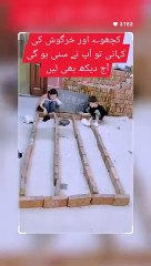 The rabbit and tortoise